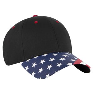 OTTO CAP 6 Panel Low Profile Baseball Cap